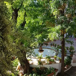 Apartamento Patio Andaluz Siglo Xvi España